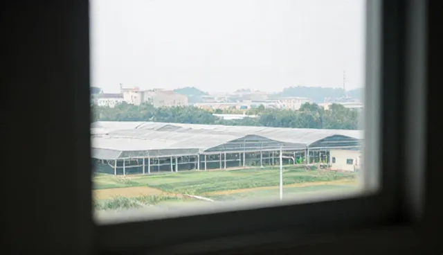 患者管理中慢病随访的两种做法对比与选择