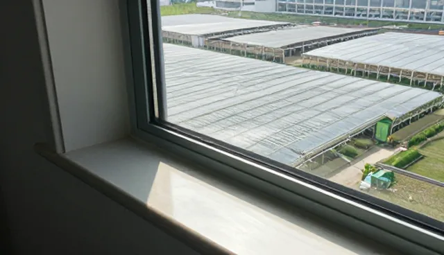 诊疗规范在医疗服务中的理解误区与正确应用